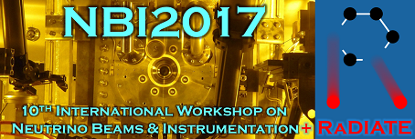 NBI2017: 10th International Workshop on Neutrino Beams and Instrumentation + 4th RaDIATE Meeting